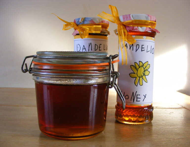 How to make Dandelion Honey Elizabeth's Kitchen Diary