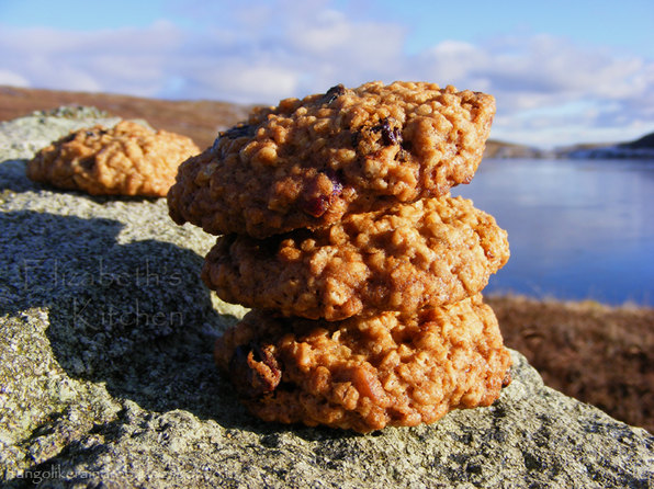 oat-raisin-cookies-3