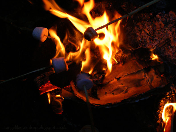 marshmallows