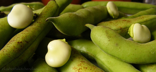 broad-beans-2