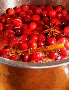 Homemade Spiced Cranberry Sauce