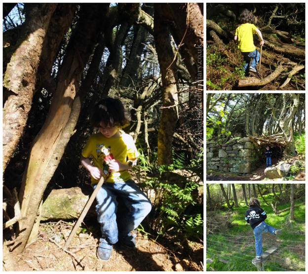 exploring Kergord Woods