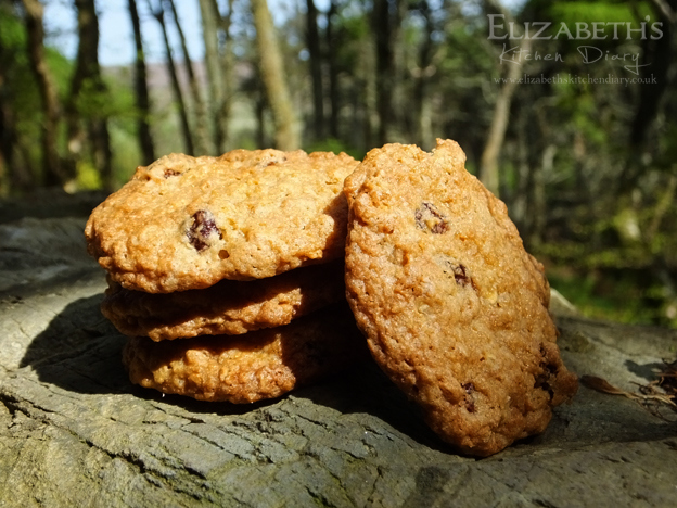 oatmeal raisin cookies