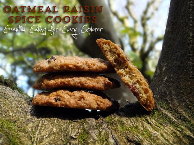 oatmeal raisin spice cookies