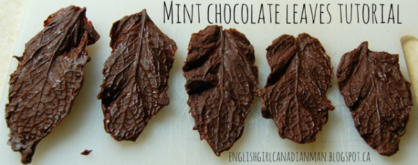 17 Chocolate & Ice Cream Ideas Elizabeth�s Kitchen Diary 17 Chocolate & Ice Cream Ideas Elizabeth�s Kitchen Diary