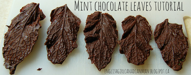 Mint Chocolate Leaves Tutorial by English Girl Canadian Man