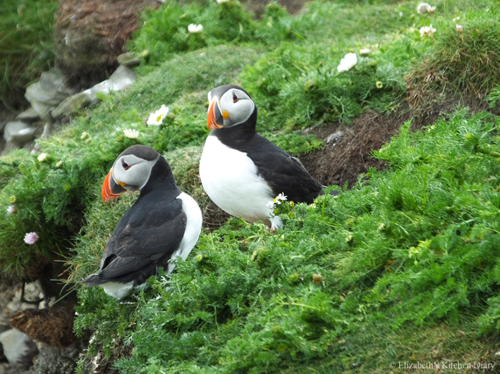 P is for... Puffins - Elizabeth's Kitchen Diary