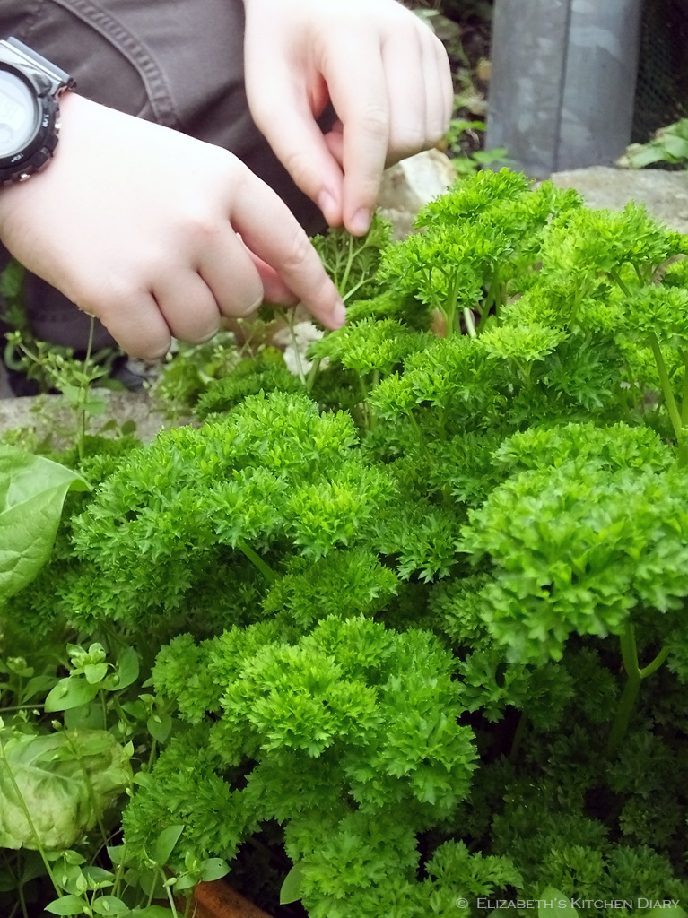 fresh parsley