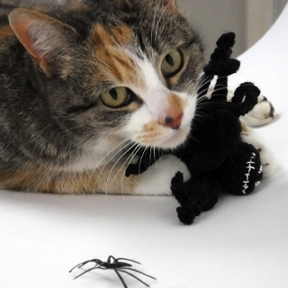 Jack Skellington Crochet Spider Cat Toy