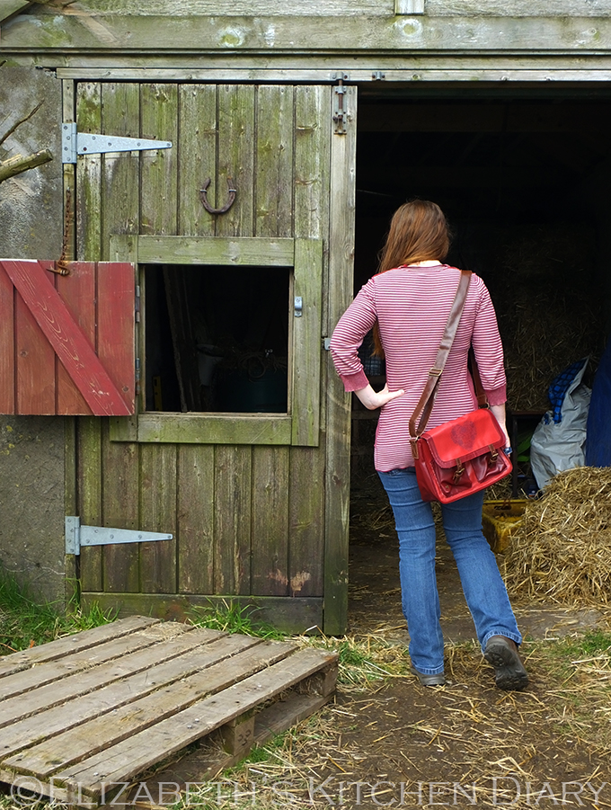 The Classic Everyday Handbags I'm Obsessed With - Katie's Bliss