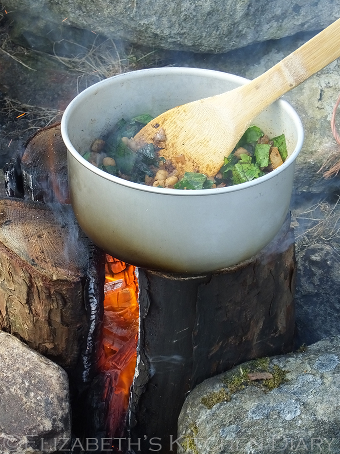 Vegan Middle Eastern Spiced Camp Fire Chickpeas over a Nordic Fire Log