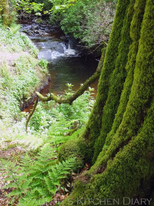 Kelly Glen Wemyss Bay