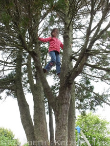 Parkdean Playpark Wemyss Bay