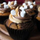 S'mores Cupcakes from Elizabeth's Kitchen Diary