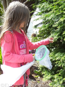 Starlanders Club - Nature Trail