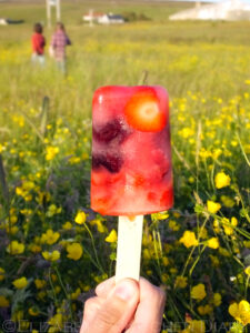 Fruity Lemonade Ice Lolly