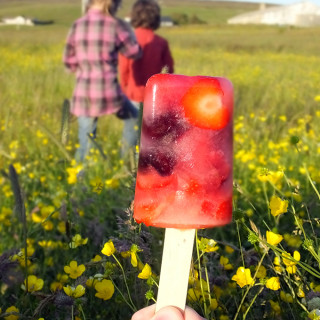 Fruity Lemonade Ice Lolly Recipe by Elizabeth's Kitchen Diary