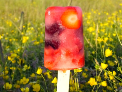 Fruity Lemonade Ice Lolly