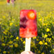 Fruity Lemonade Ice Lolly