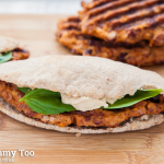 Chilli, parmesan and sundried tomato veggie bean patties