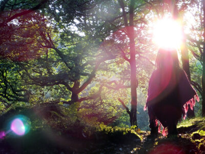 Grizedale - camping in the Lake District