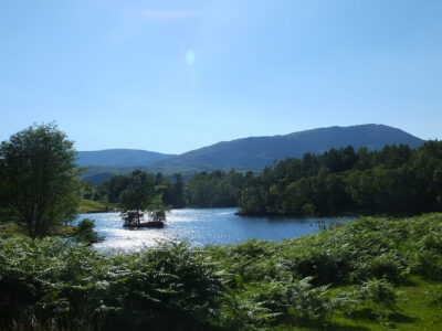 Tarn Hows, Lake District