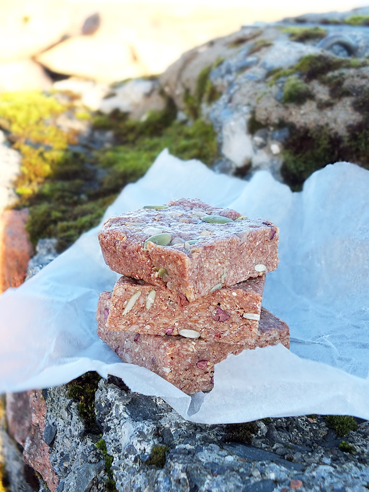 Superfood Plant Protein Energy Bars 