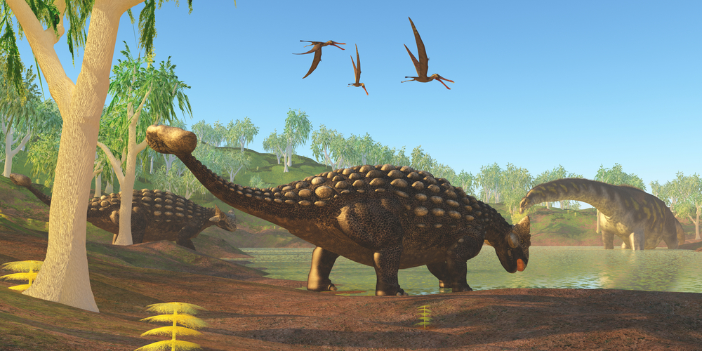 Ankylosaurus by Catmando