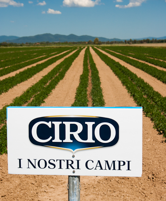 Maremma, Tuscany - Cirio's Growing Grounds by Fuss Free Flavours