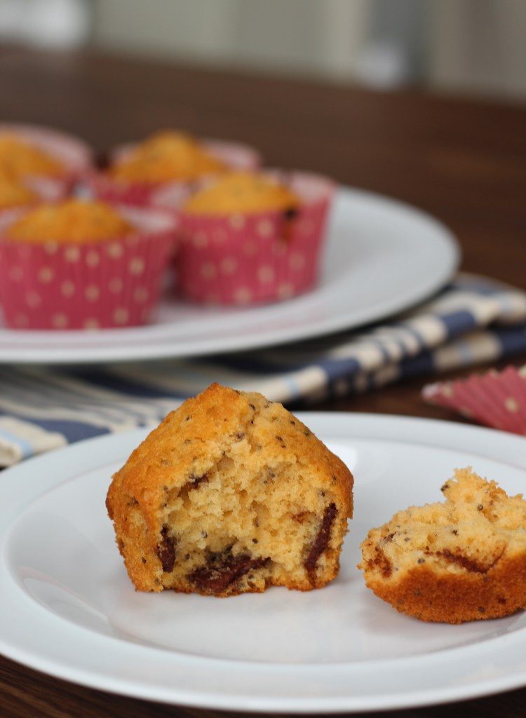 Chocolate Chia Seed Muffins from Searching for Spice