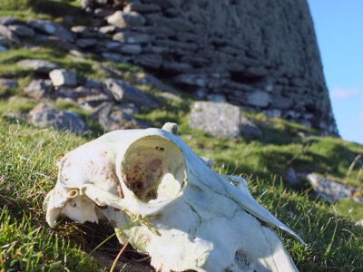 Burra Ness Broch, Shetland