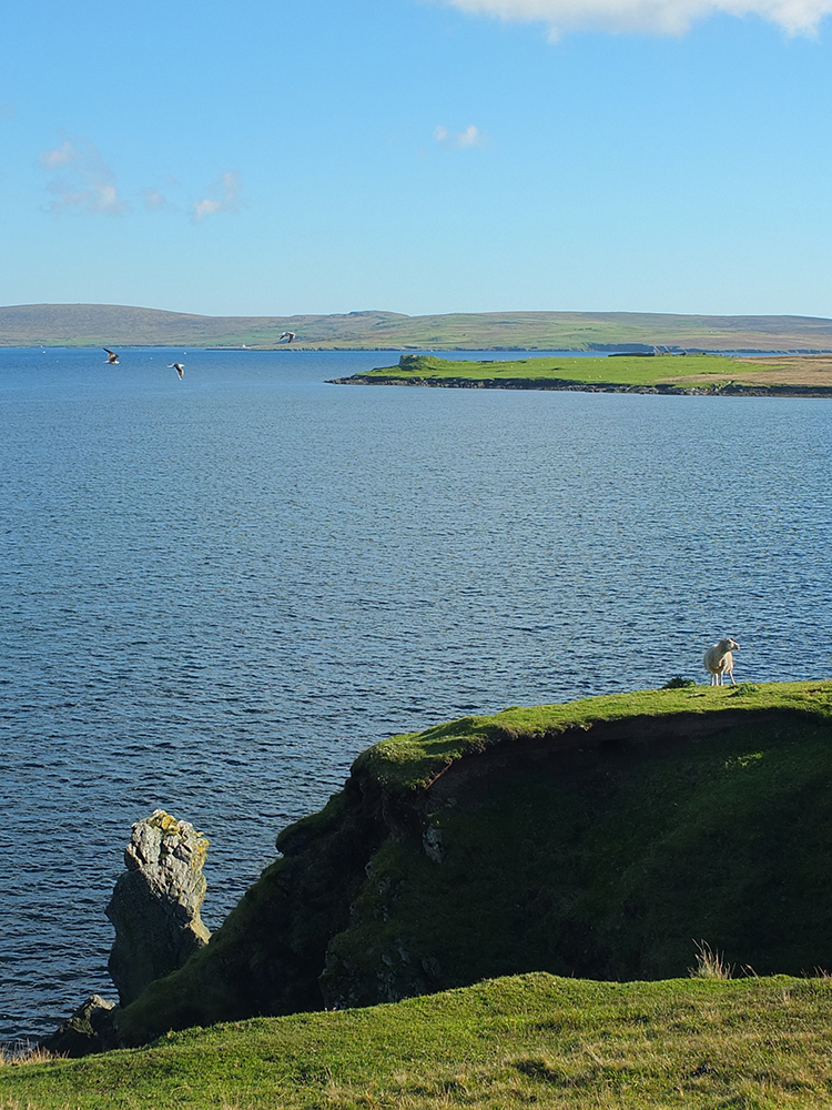 Burra Ness Broch, Yell, Shetland