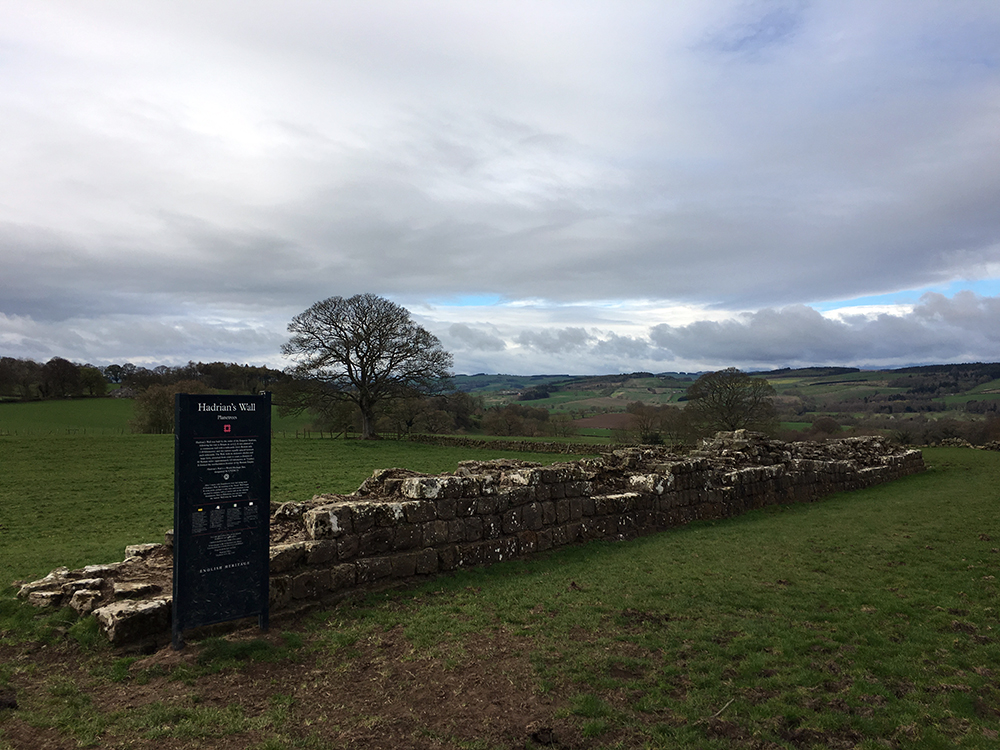 Walking Hadrian's Wall - Planetrees