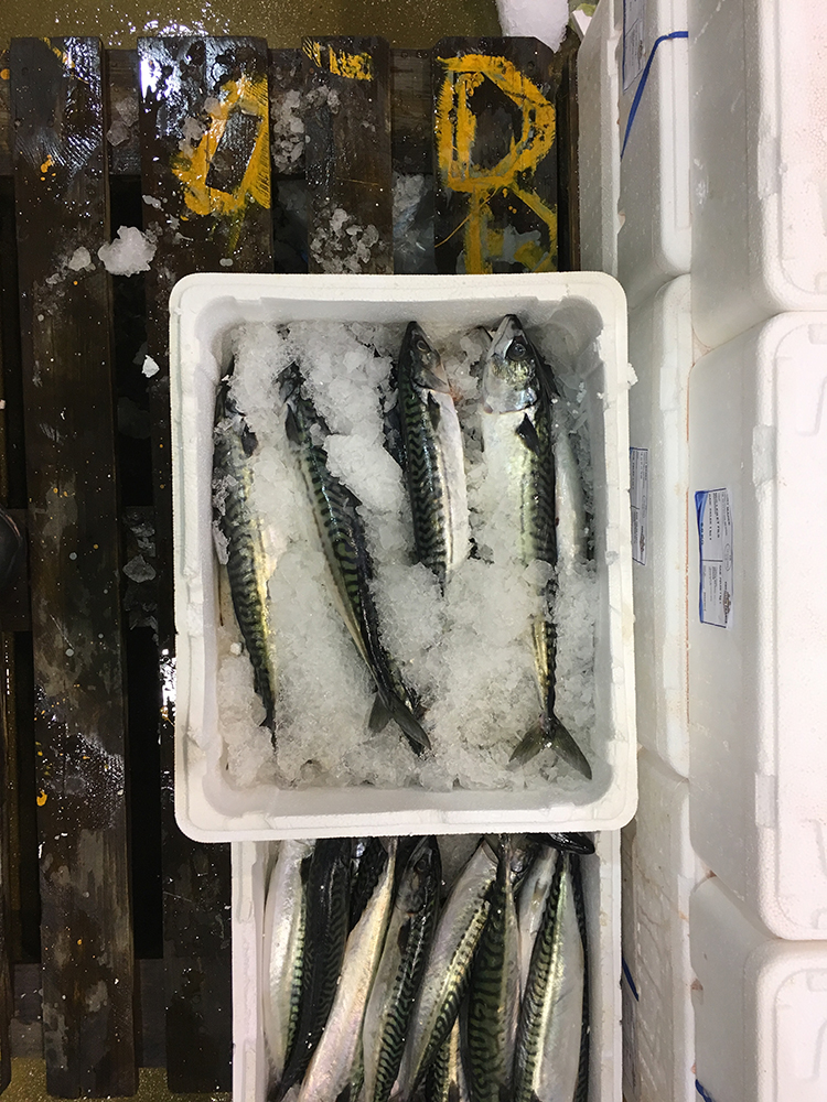 Image of fresh mackerel at the Rungis International Market, Paris.