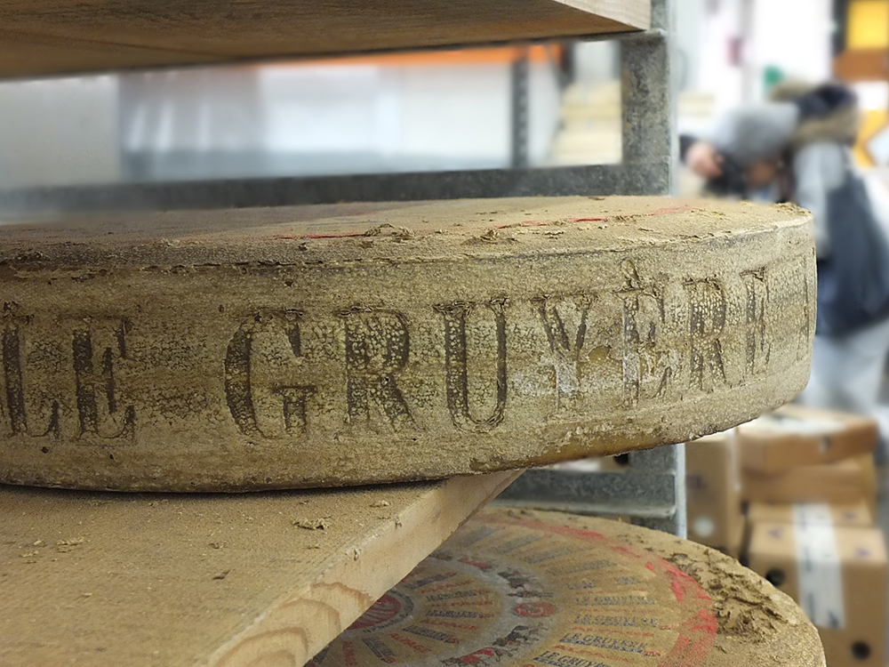 Photo of a wheel of Gruyere cheese in the Rungis International Market, Paris.