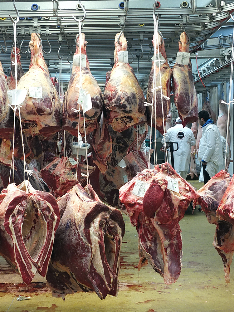 Image of aging meat hanging at the Rungis International Market, Paris.