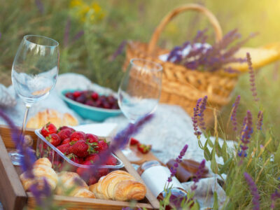 Summer Picnic By Mostovyi Sergii Igorevich