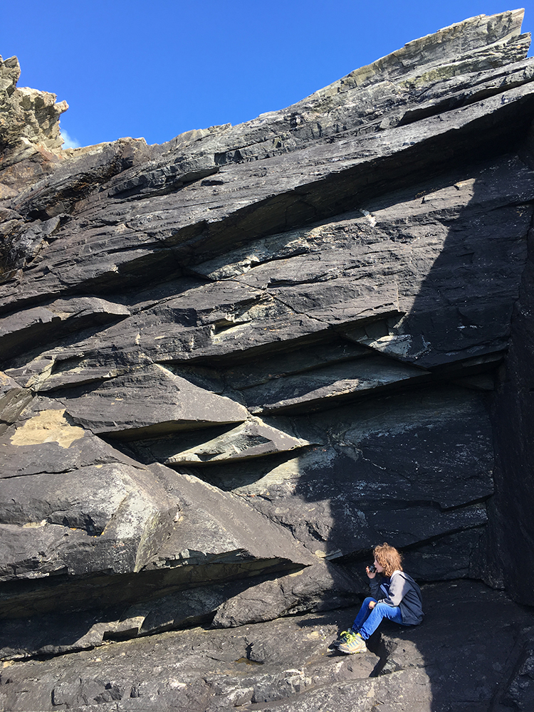 Burra Cliffs Shetland