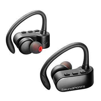 Q16 earbuds sales