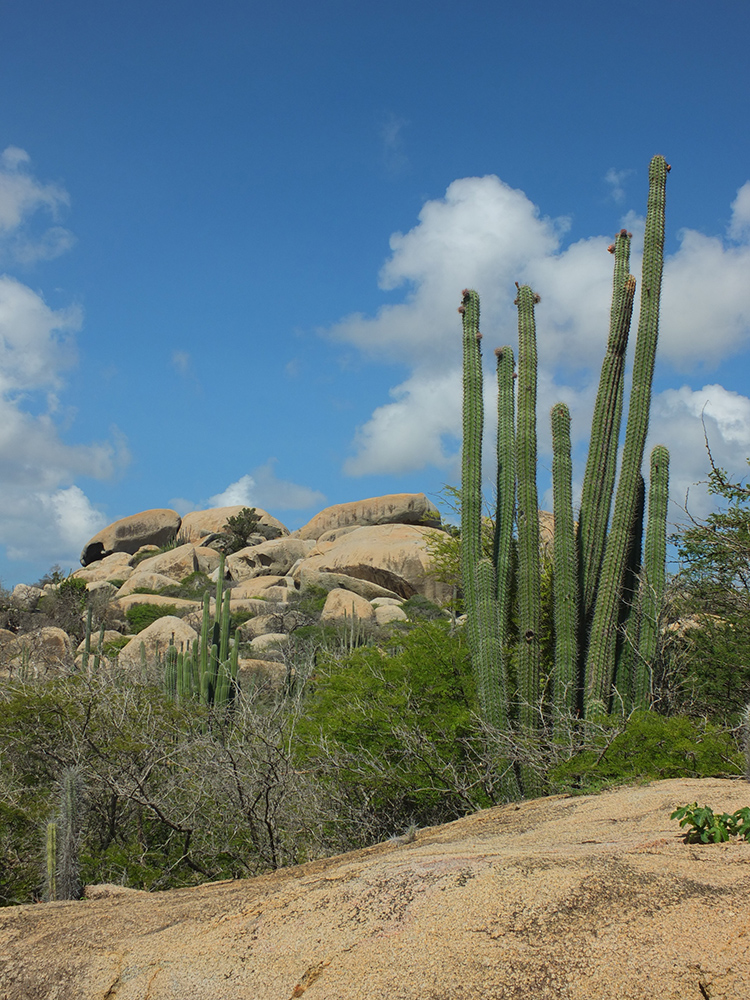 Ayo Rock Formations Aruba