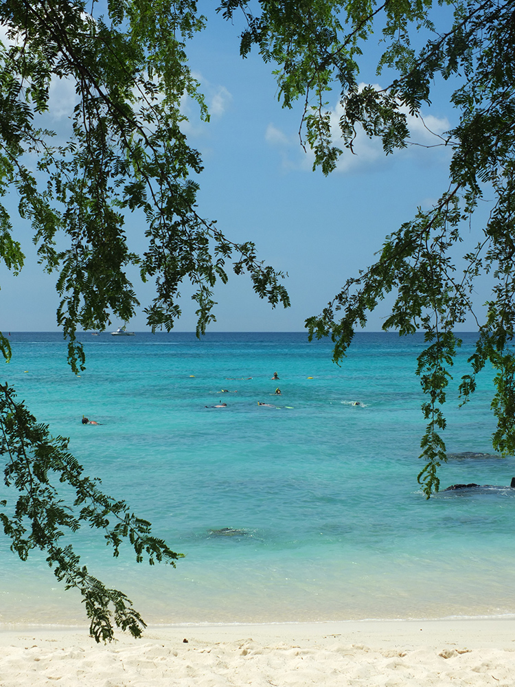 Boca Catalina Beach Aruba 