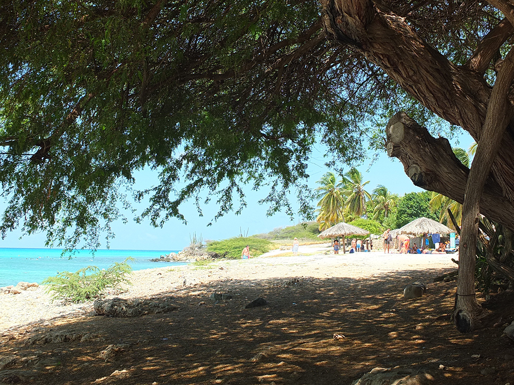 Boca Catalina Beach Aruba 