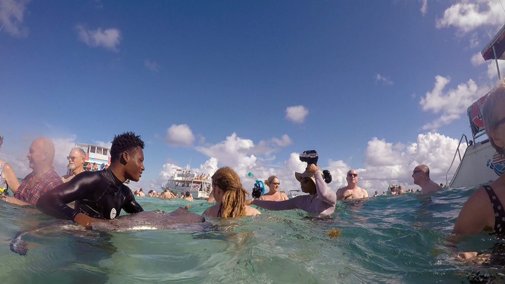 Swimming with Stingrays in Grand Cayman 