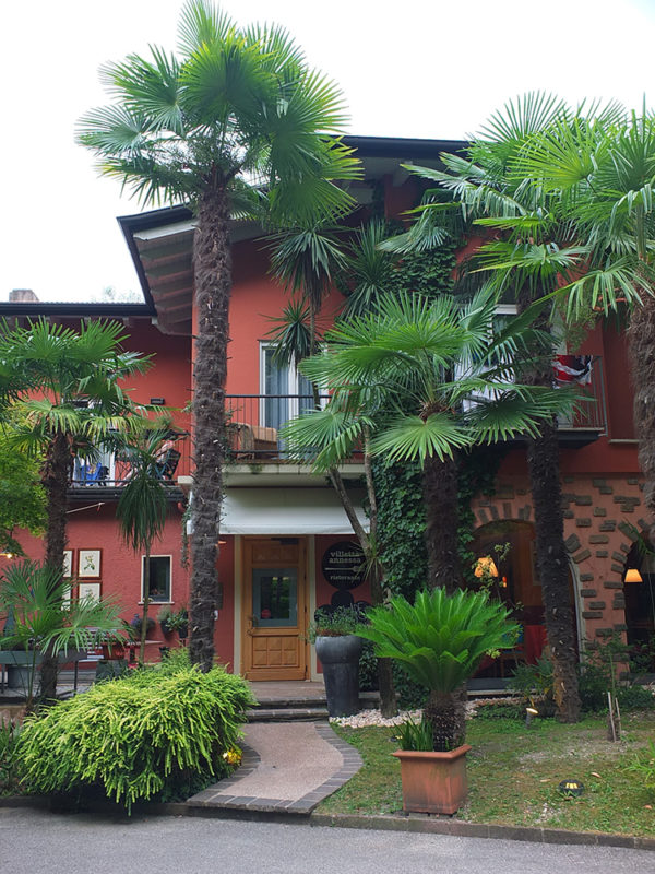 Pan-Seared Rabbit Loin Salad with Smoked Pancetta - Elizabeth's Kitchen ...