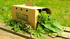 The Wild Food Box from The Forager Ltd