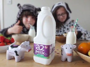 a2 Milk Tummy Troubles Campaign