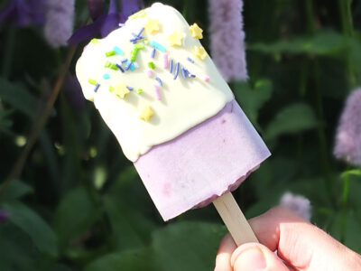 Blueberry and White Chocolate Ice Cream Popsicles
