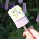 Blueberry and White Chocolate Ice Cream Popsicles