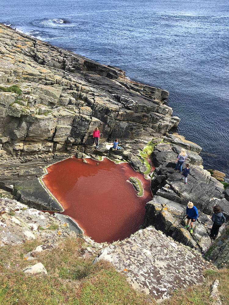 red rock pool