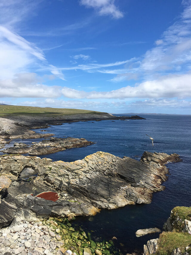 A Walk to the Red Rock Pool in Virkie, Shetland Elizabeth's Kitchen Diary
